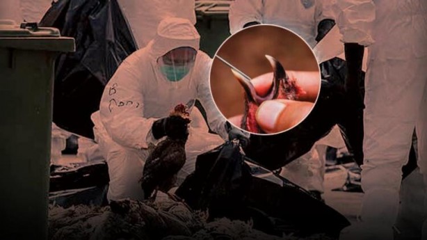 Foto - Koronavirüs bitmeden yeni salgın paniği!