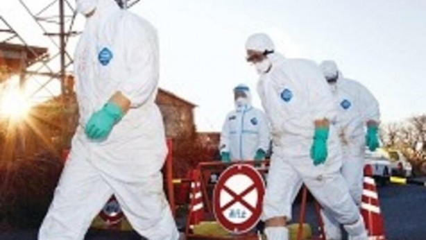 Koronavirüs derken... Bir salgınla daha sarsıldılar! 