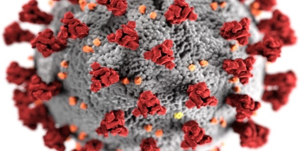 Foto - Koronavirüs hangi organlara zarar veriyor?