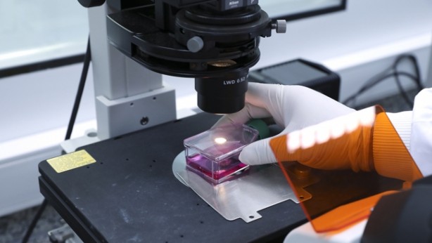 Foto - Koronavirüs için ortalığı ayağa kaldırdılar ama araştırmalar şaşırttı