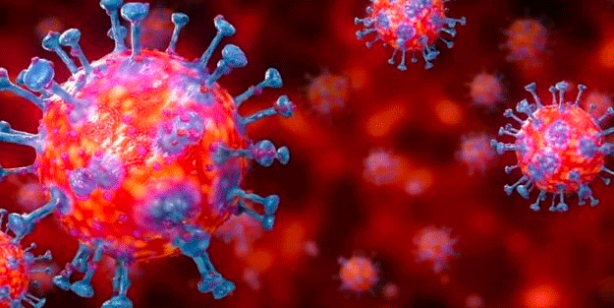 Foto - Koronavirüs nasıl ortaya çıktı! İşte şoke eden gerçek