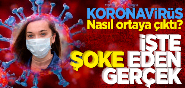 Koronavirüs nasıl ortaya çıktı! İşte şoke eden gerçek