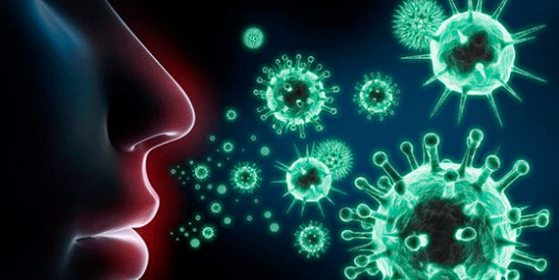 Foto - Koronavirüs nasıl ortaya çıktı! İşte şoke eden gerçek