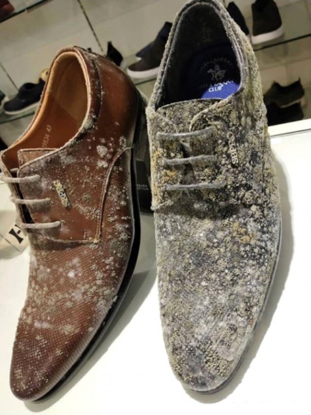 Foto - Koronavirüs nedeniyle kapalı olan mağazasını açınca şoke oldu!