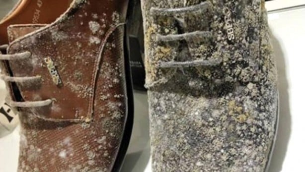 Foto - Koronavirüs nedeniyle kapalı olan mağazasını açınca şoke oldu!