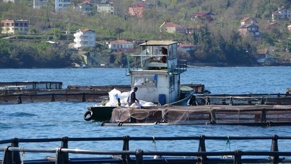 Foto - Koronavirüs salgını sonrası talep patlaması yaşandı: 150 TL'den satılıyor