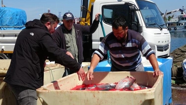 Foto - Koronavirüs salgını sonrası talep patlaması yaşandı: 150 TL'den satılıyor