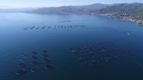 Foto - Koronavirüs salgını sonrası talep patlaması yaşandı: 150 TL'den satılıyor