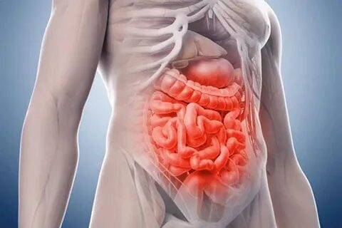 Foto - Koronavirüs sonrası iyileşmeyi hızlandıran besinler… Uzmanlar mutlaka öneriyor