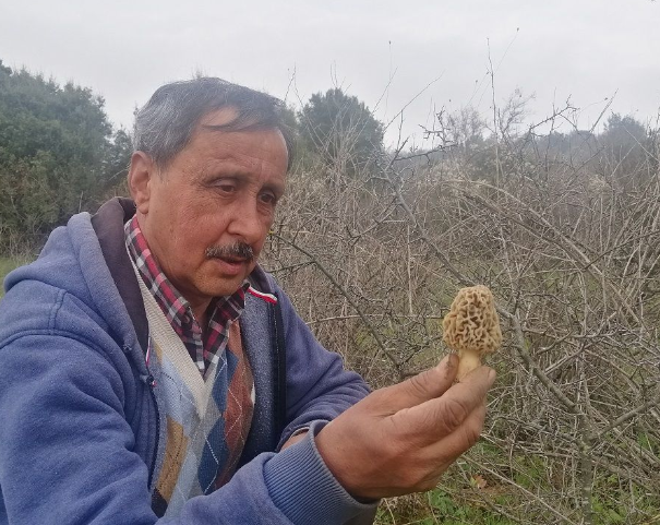 Foto - Koronavirüs sonrası yarım saatte tükeniyor! Kilosu 130 lira