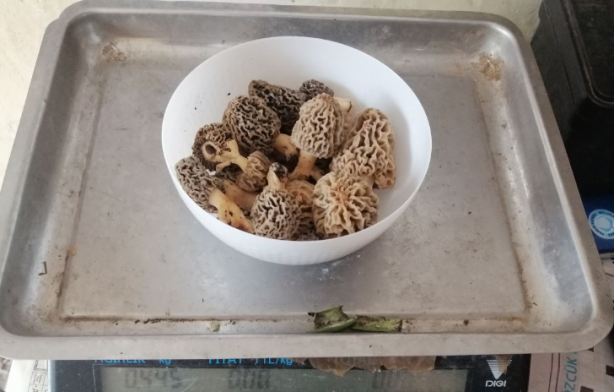 Foto - Koronavirüs sonrası yarım saatte tükeniyor! Kilosu 130 lira