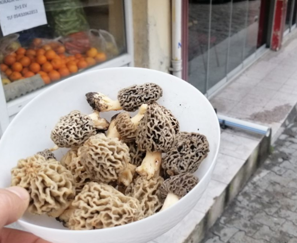 Foto - Koronavirüs sonrası yarım saatte tükeniyor! Kilosu 130 lira