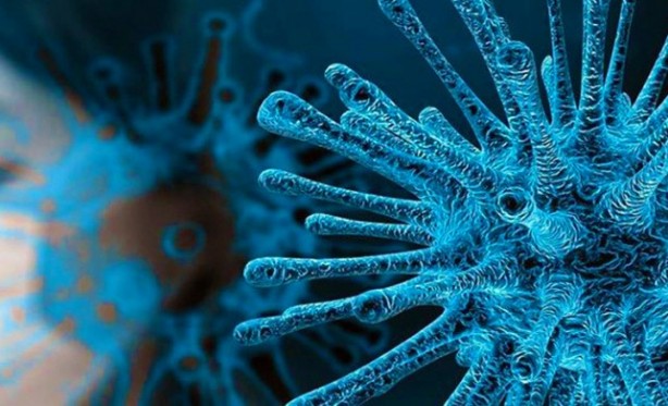 Foto - Koronavirüs yasakları ne zaman kalkacak? Bilim Kurulu üyesi Alpay Azap açıkladı