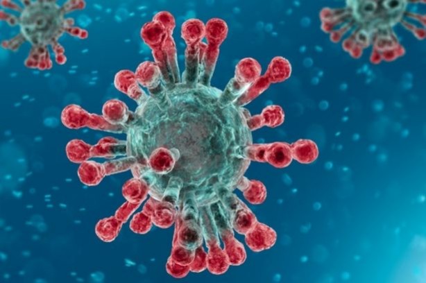 Foto - Koronavirüse karşı 22 ülkeden dev hamle! Aralarında Türkiye de var