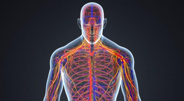 Foto - Koronavirüse yakalananlar dikkat: Su içerek atlatabilirsiniz! Peki su içmenin faydaları neler?