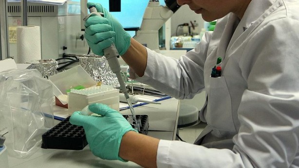 Foto - Koronavirüsle yarışan domuz gribinin 8 belirtisi