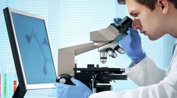 Foto - Koronavirüsle yarışan domuz gribinin 8 belirtisi