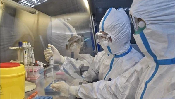 Foto - Koronavirüste ezber bozan keşif! Onları etkilemiyor