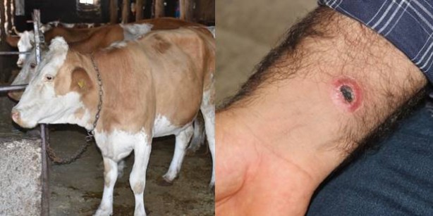 Foto - Koronavirüsten sonra olacakları sıraladı! Canlı yayında söyledikleri dehşete düşürdü