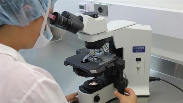 Foto - Koronavirüsten sonra şimdi de Bunyavirüs alarmı! Bunyavirus nedir? Belirtileri nelerdir? 