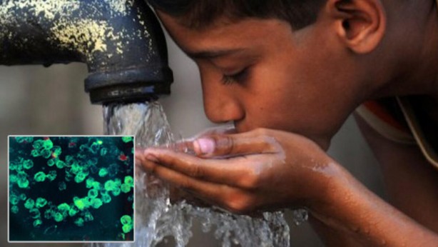 Foto - Koronavirüsten sonra yeni kabus! Bulaştığı insanı 1 hafta içerisinde öldürüyor