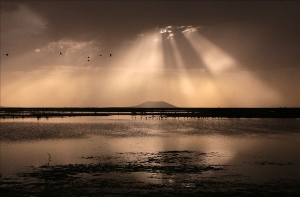Foto - Koronavirüsten sonraki felaket olarak adlandırılıyordu! Bu kez o ülkede saldırıya geçtiler