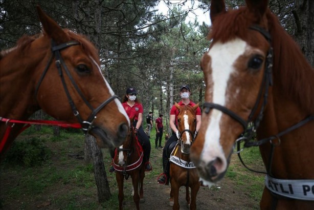 Foto - Koronavirüsten sonraki felaket olarak adlandırılıyordu! Bu kez o ülkede saldırıya geçtiler