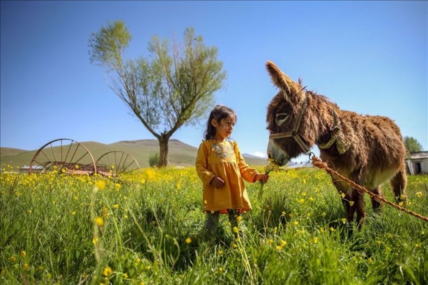 Foto - Koronavirüsten sonraki felaket olarak adlandırılıyordu! Bu kez o ülkede saldırıya geçtiler