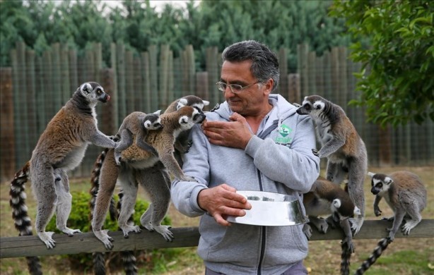 Foto - Koronavirüsten sonraki felaket olarak adlandırılıyordu! Bu kez o ülkede saldırıya geçtiler