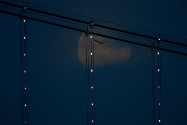 Foto - Koronavirüsten sonraki felaket olarak adlandırılıyordu! Bu kez o ülkede saldırıya geçtiler