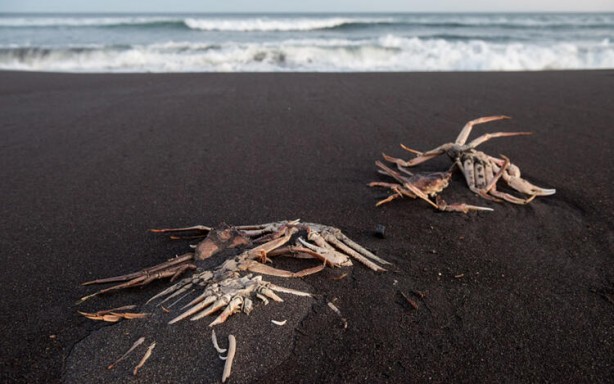 Foto - Koronavirüsü gölgede bıraktı! Binlercesi aynı anda...