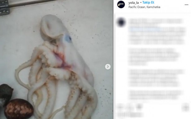 Foto - Koronavirüsü gölgede bıraktı! Binlercesi aynı anda...