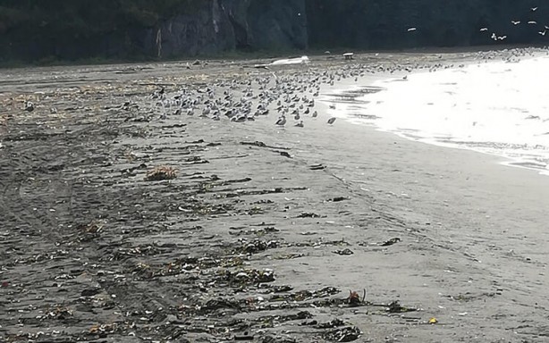 Foto - Koronavirüsü gölgede bıraktı! Binlercesi aynı anda...