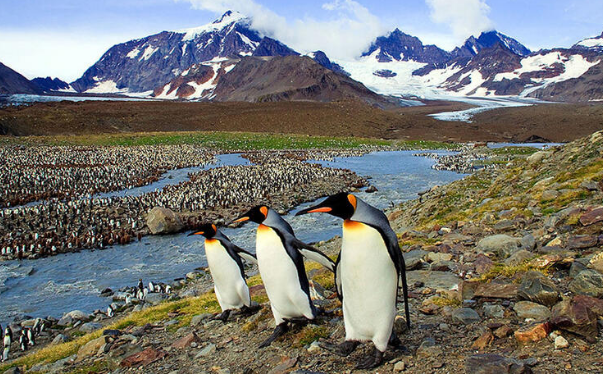 Foto - Koronavirüsü unutturan tehlike dünyayı alarma geçirdi!! Felaketler zincirinin ilk halkası hızla ilerliyor