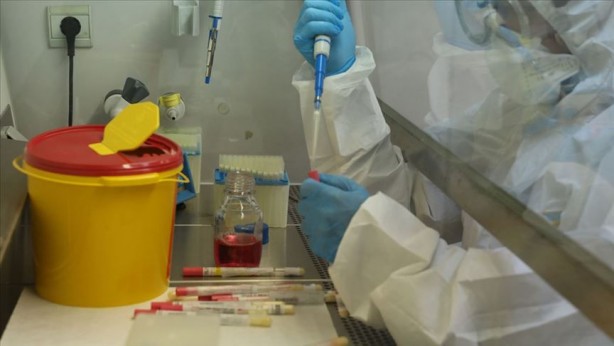 Foto - Koronavirüsü yenen İngiliz aktörden dikkat çeken öneri! ‘Diğer türler bunu uyguluyor’