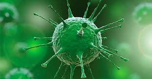 Foto - Koronavirüsün en acı karesi! Milyonlar bunu konuşuyor