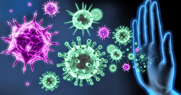 Foto - Koronavirüsün, kedilerde mutasyona uğramış şekli dünyada yaygınlaşıyor: Bu hastalığın tedavisi yok!