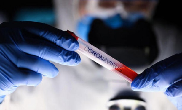 Foto - Koronavirüsün korkutan etkisi! Yeni yöntemle gözlemlediler