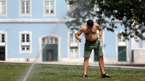 Foto - Korunmanın yolları neler? Dikkat sıcaklar öldürebilir!