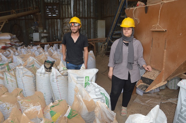 Foto - KOSGEB desteğiyle tesis kurdu! Bu ürün kömüre alternatif 