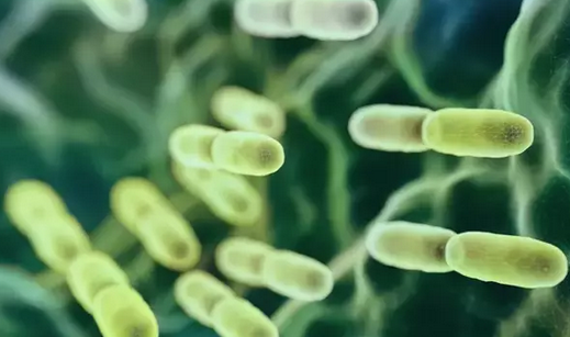 Foto - Kötü 5 gıda: Bağırsak sağlığı için bu besinleri evinize sakın sokmayın...