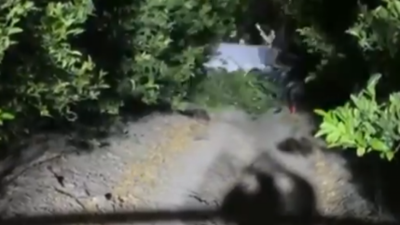 Foto - Vali kötü haberi duyurdu! Adana'da eğitim uçağı düştü