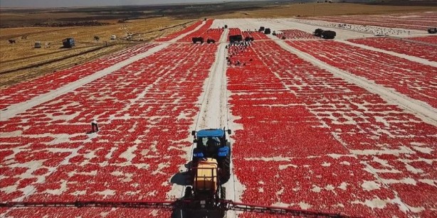 Foto - Kötü haber: Rusya'nın Türkiye'ye verdiği kota bitiyor! "Ellerinde koz olarak tutuyorlar"