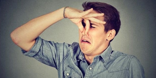 Foto - Kötü kokulara son veren 5 besin