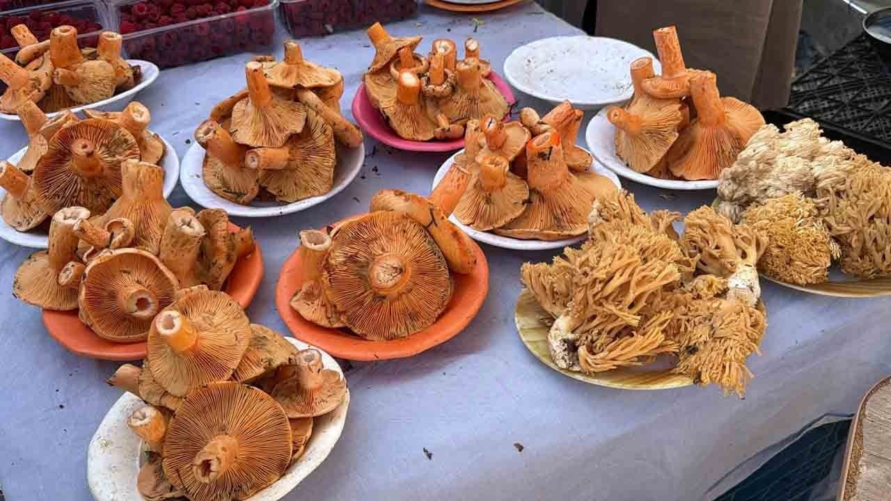 Foto - Kovalara doldurup pazara koşuyorlar: Kilosu 600 lirayı buldu