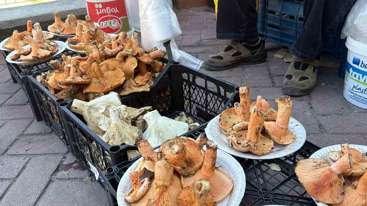 Foto - Kovalara doldurup pazara koşuyorlar: Kilosu 600 lirayı buldu