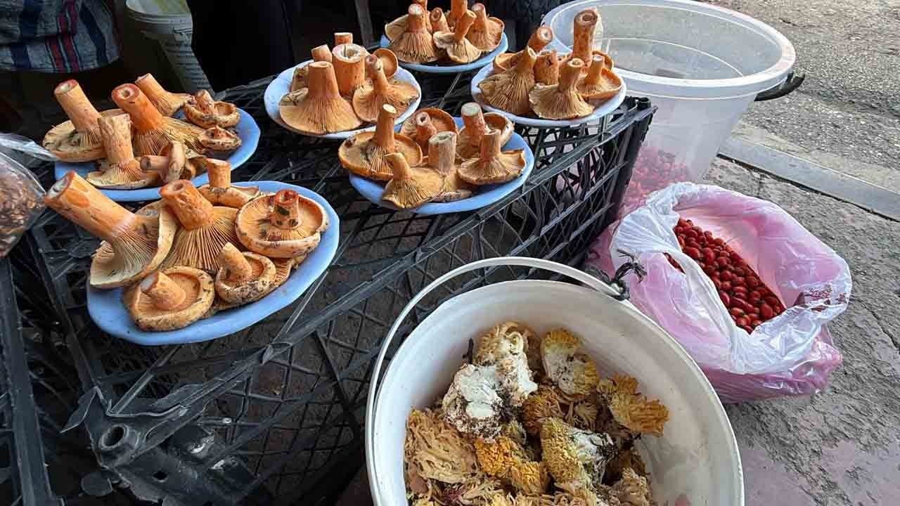 Foto - Kovalara doldurup pazara koşuyorlar: Kilosu 600 lirayı buldu