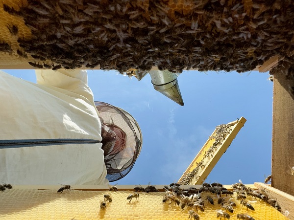 Foto - Kovan sayısı 5’ten 65’e çıktı! Üst düzey yöneticiliği bırakıp İstanbul’u terk etti