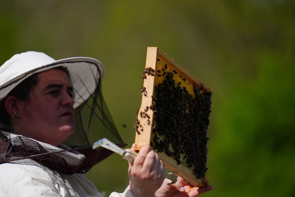 Foto - Kovan sayısı 5’ten 65’e çıktı! Üst düzey yöneticiliği bırakıp İstanbul’u terk etti