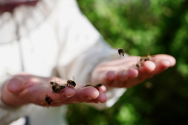 Foto - Kovan sayısı 5’ten 65’e çıktı! Üst düzey yöneticiliği bırakıp İstanbul’u terk etti